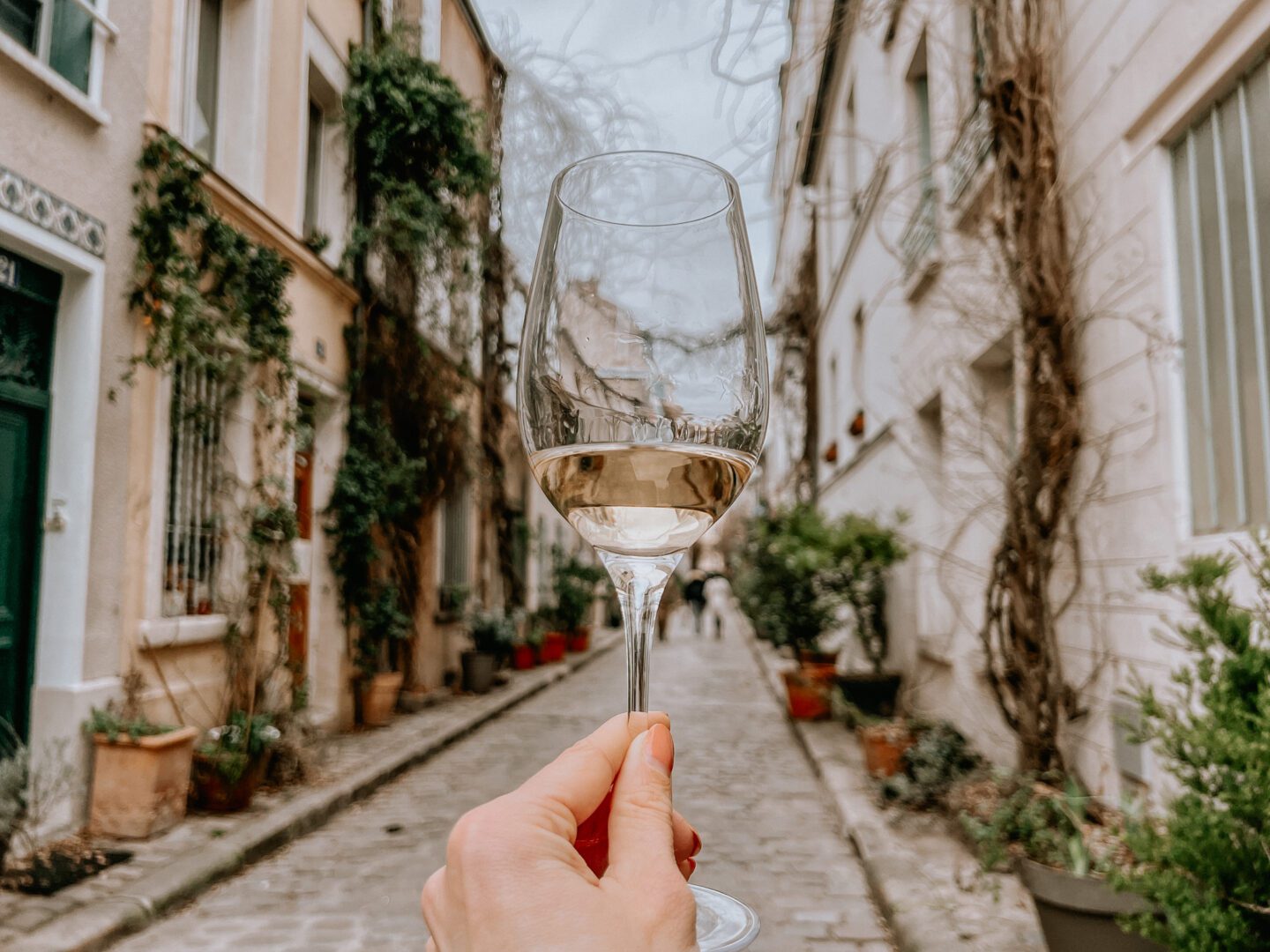 Wine classes in Paris