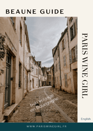 Cover to the Beaune Travel Guide