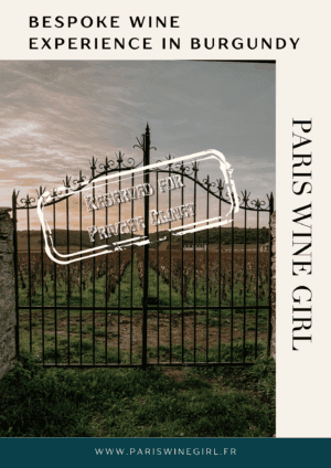 Bespoke Private Wine Experience in Burgundy