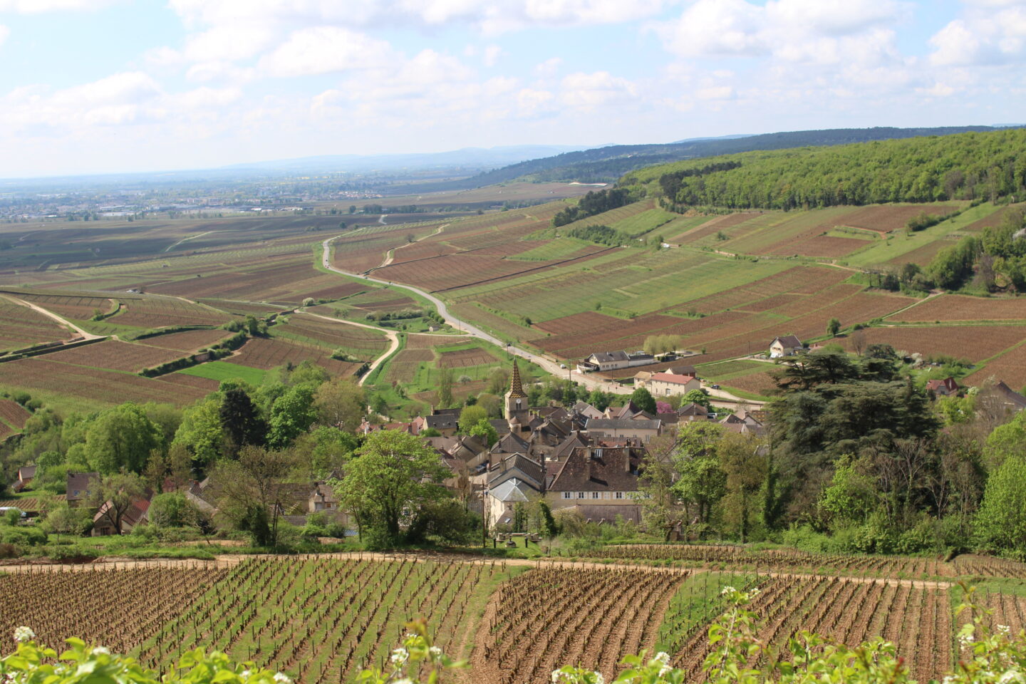 Planning a French wine trip. Burgundy Vineyard overlook