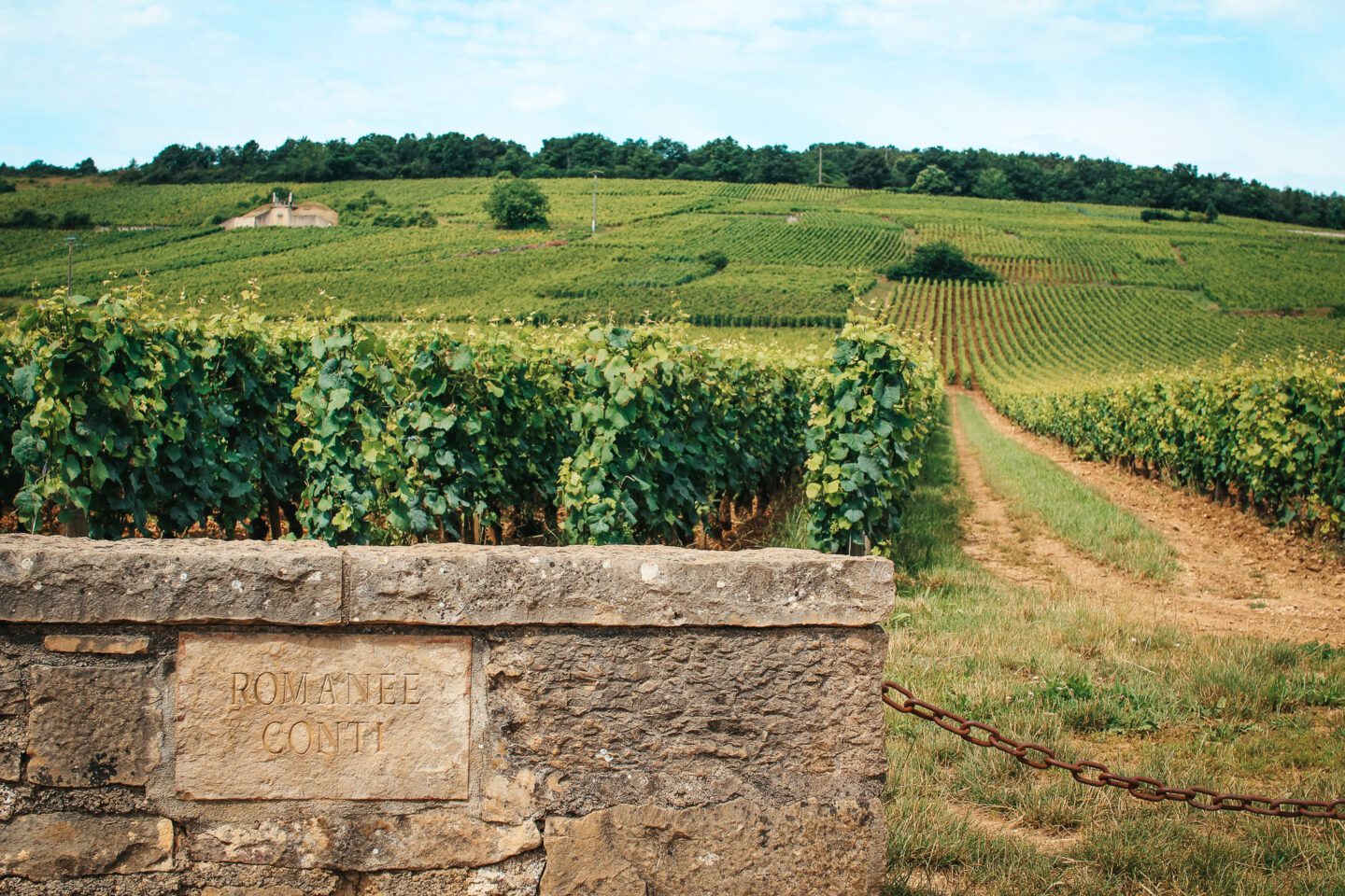 Visiting the DRC vineyard site on a private wine tour with a guide in Burgundy