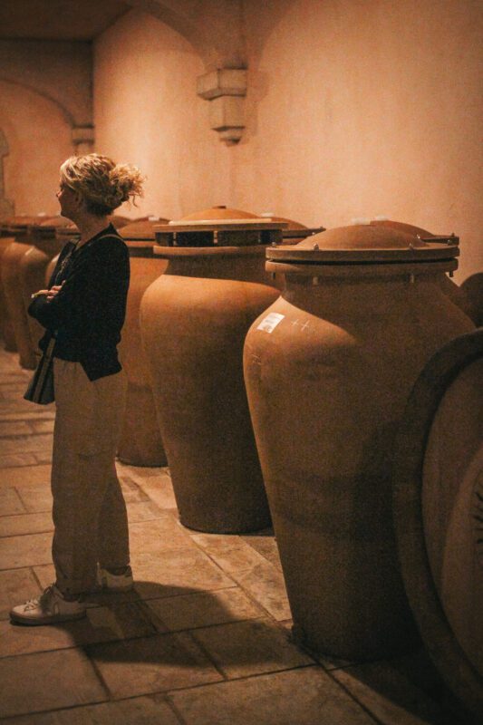 Cellar visit during a private wine guide tour in Burgundy