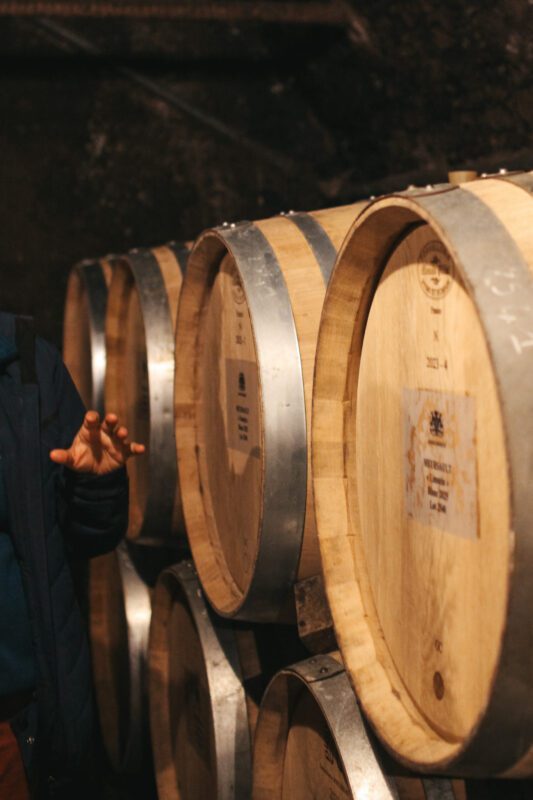 Burgundy vineyards